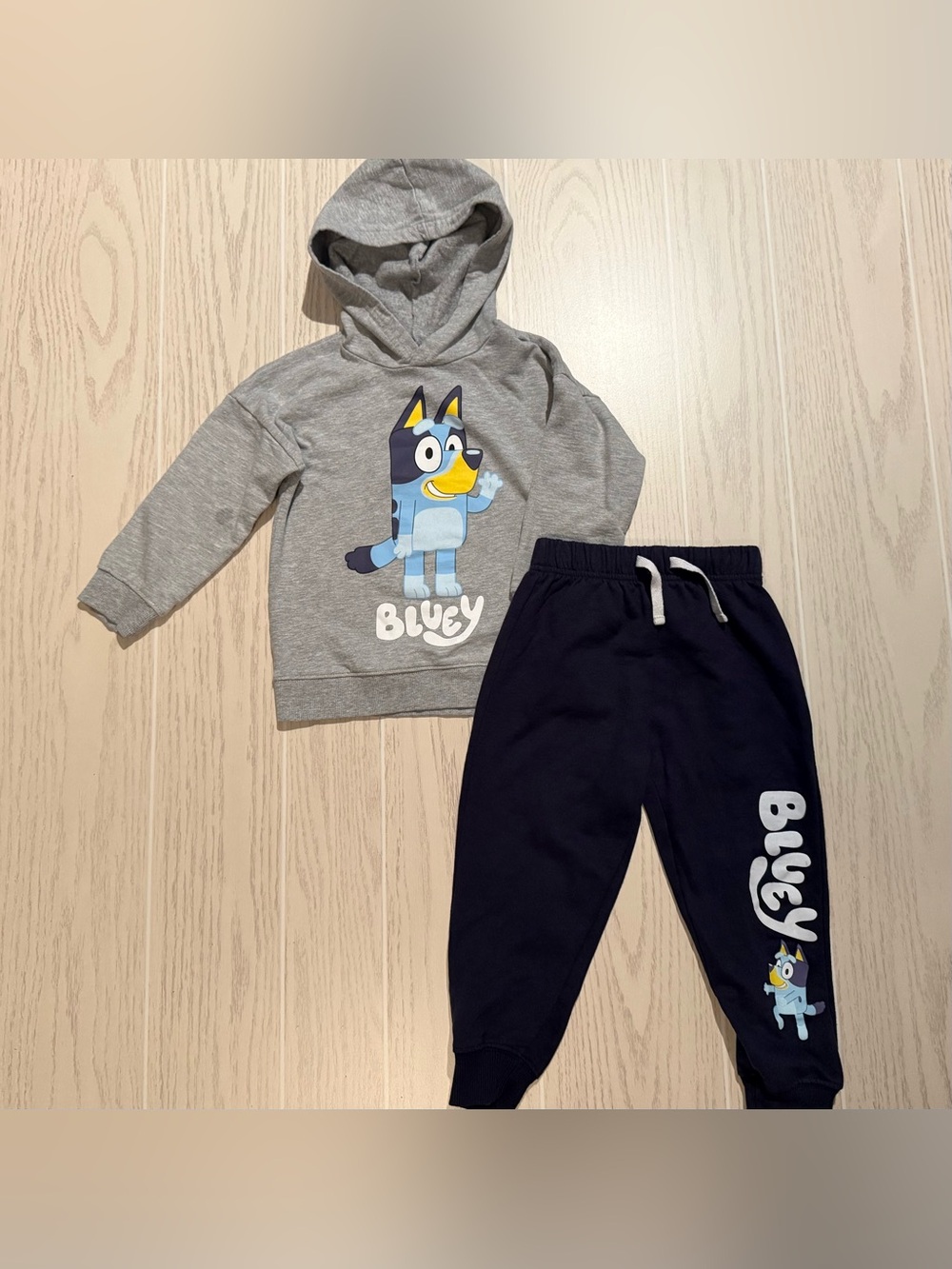Bluey Toddler Boys 3T Hoodie Jogger Pants 2 Piece Fleece Outfit Set
